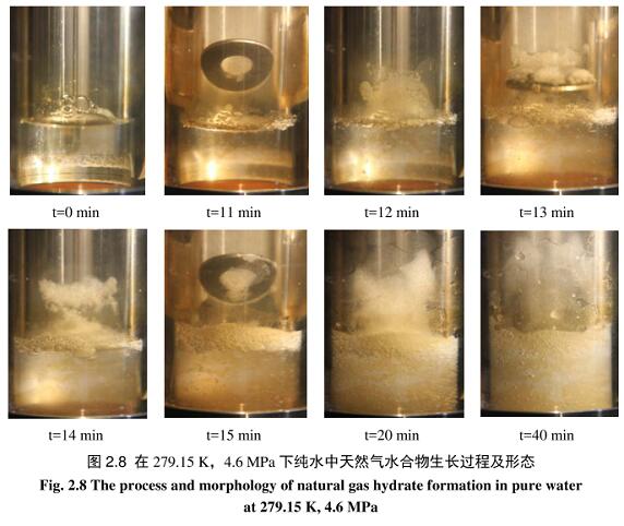 天然氣水合物反應裝置(圖3)