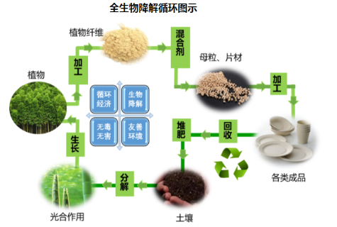 生物質微型反應釜(圖2)